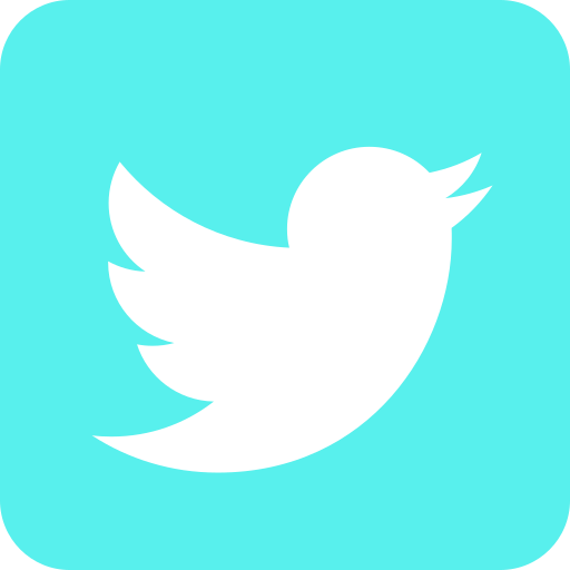 5282551 tweet twitter twitter logo icon Gets Biography